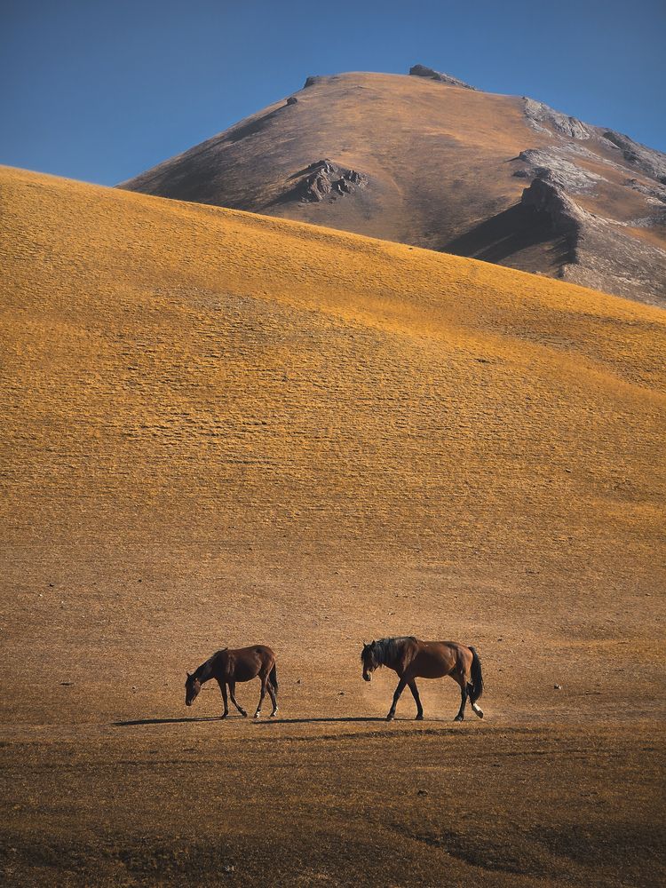 Photograph by Evgeny Pochaev