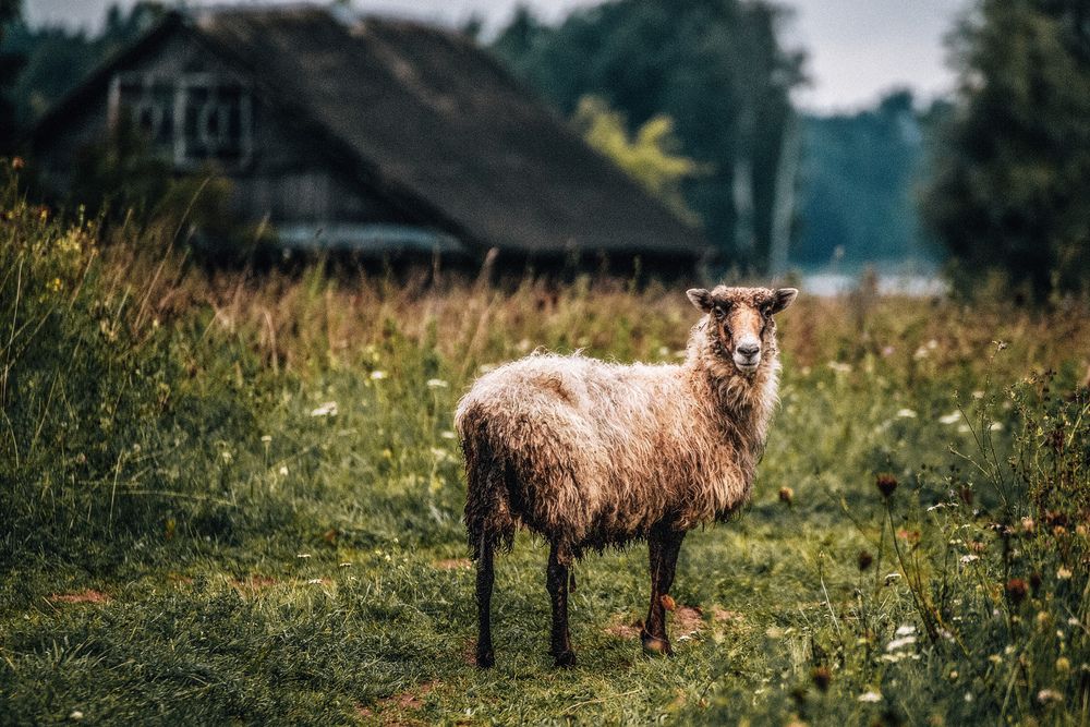 Photograph by Leanid Kulpo