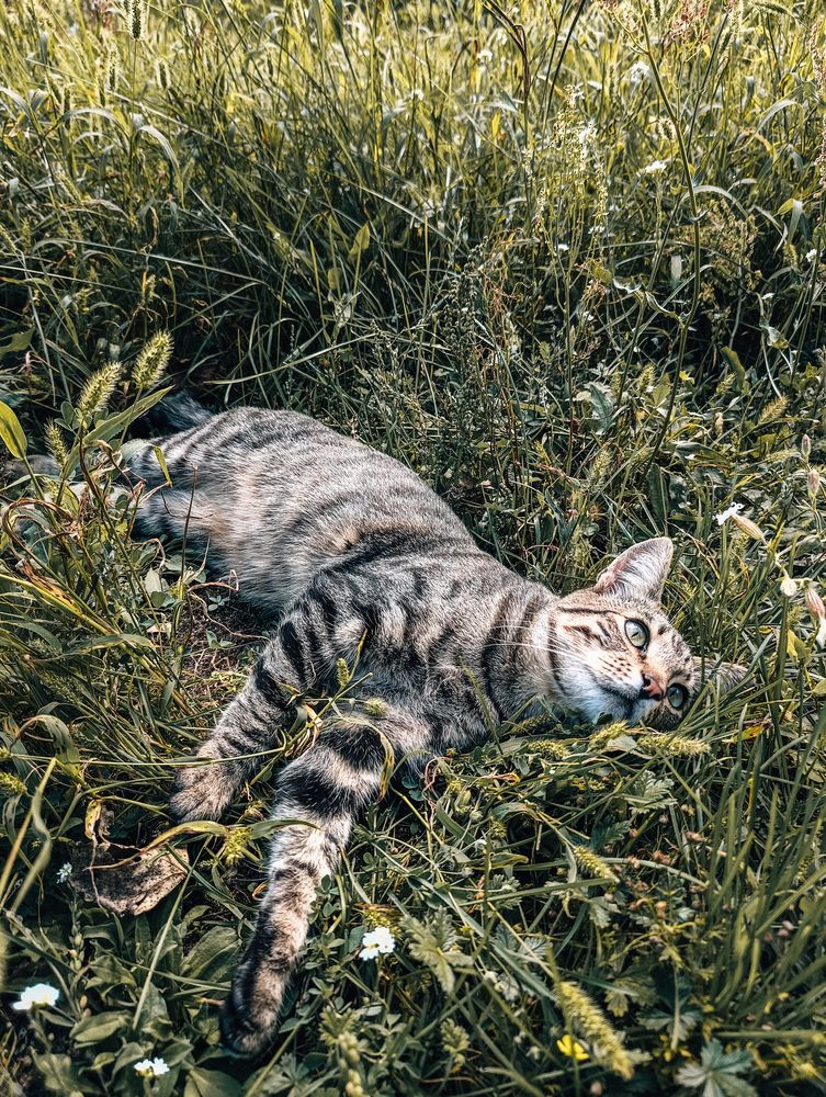 Photograph by Leanid Kulpo