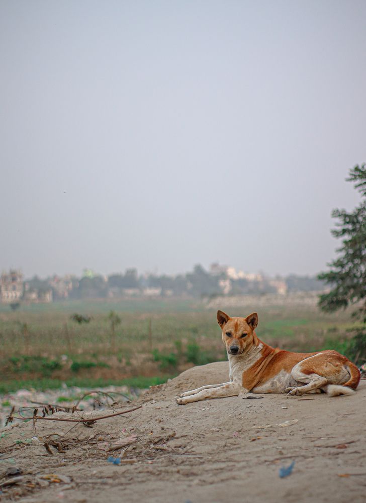 Photograph by ASHFAQUL MAJID