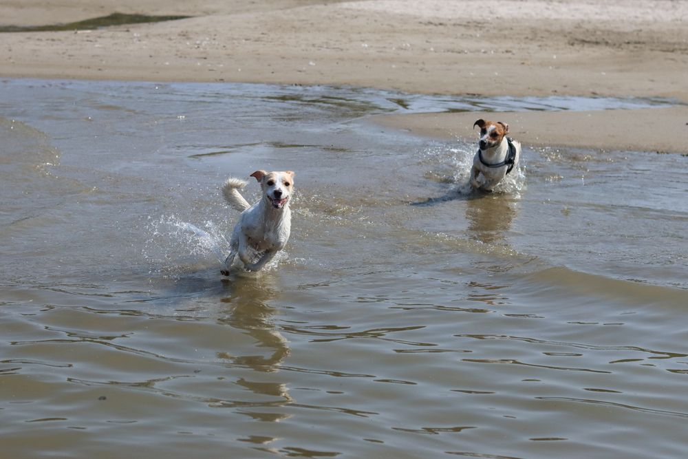 Photograph by Наталья Юденкова
