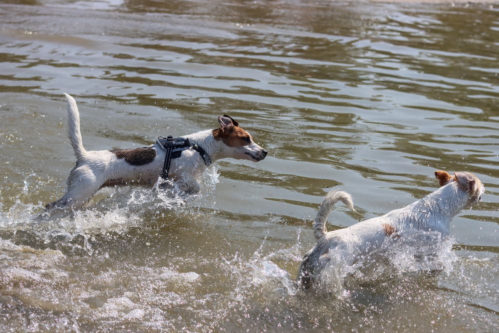 Photograph by Наталья Юденкова