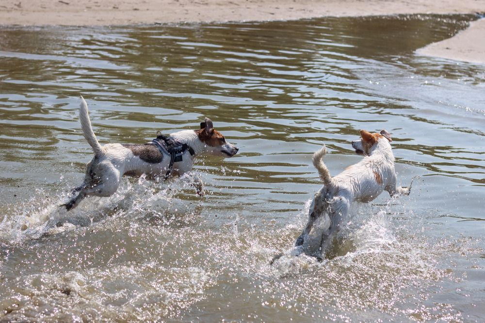 Photograph by Наталья Юденкова