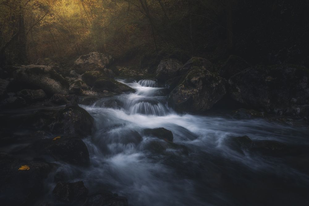 Photograph by de Franzoni Thomas