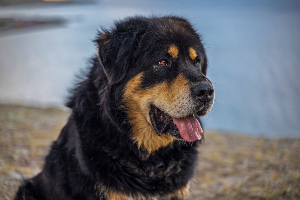 Photograph by Evgeniy