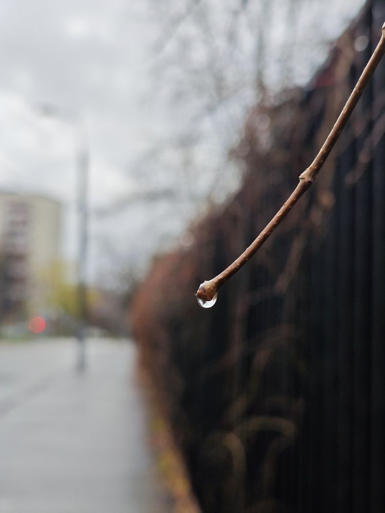Photograph by Елена Шоколенко