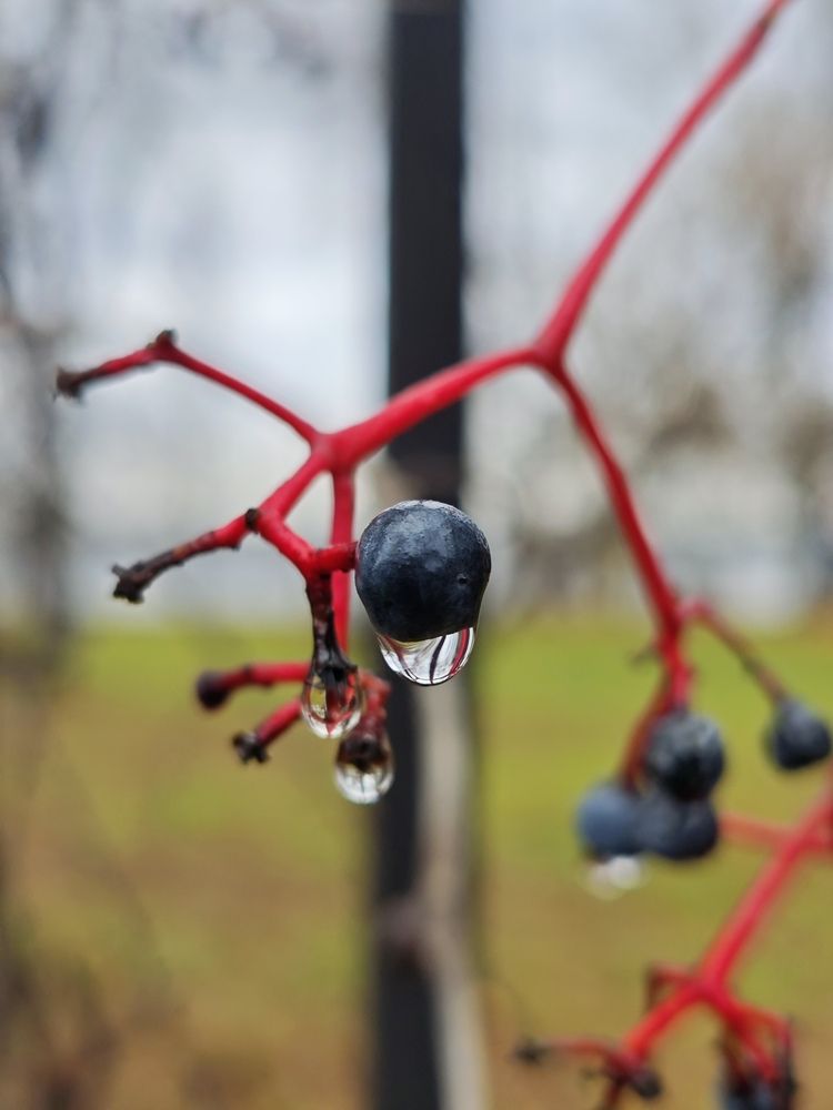Photograph by Елена Шоколенко