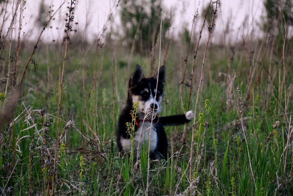 Photograph by Наталья Сорокина