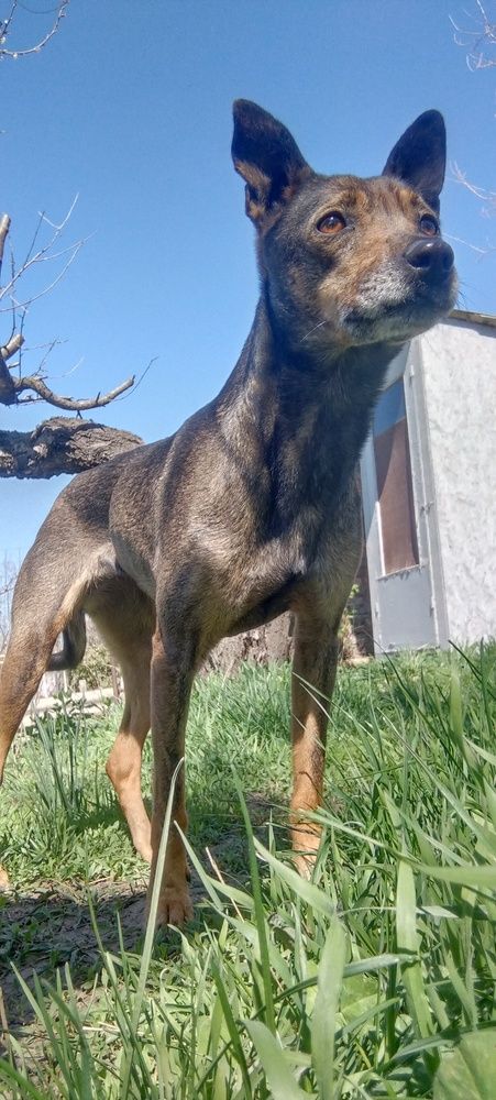 Photograph by Дарина Макарова