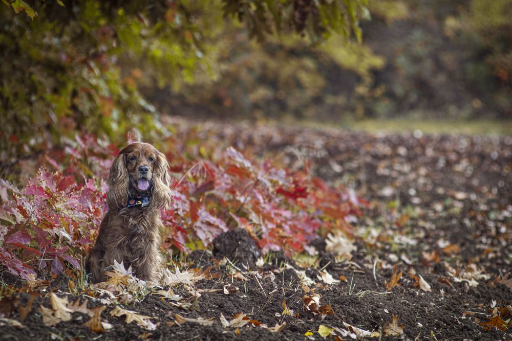 Photograph by Victoria Mogulyan