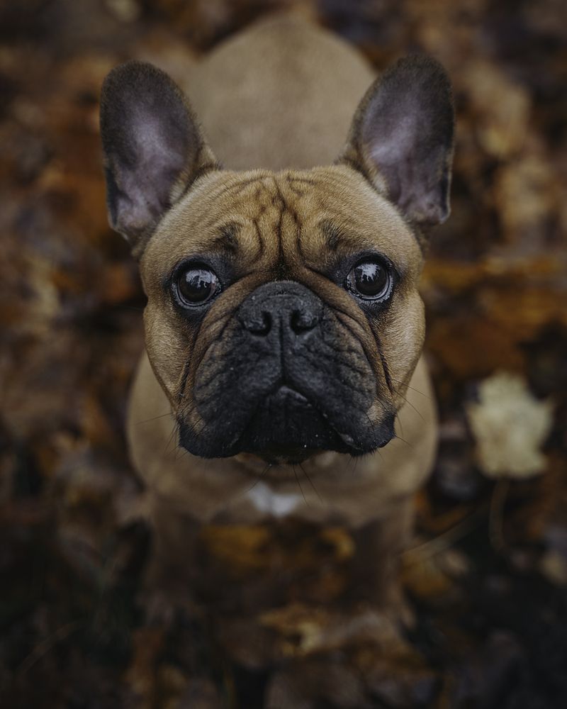 Photograph by Anna Sindikayeva