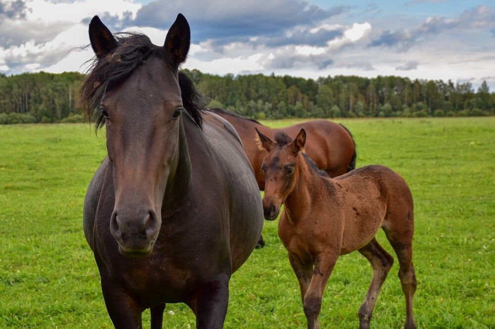 Photograph by Дмитрий Петров