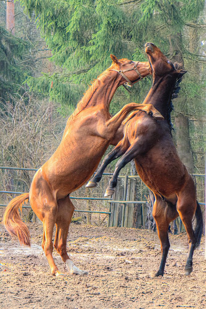 Photograph by Юрий Спасенников