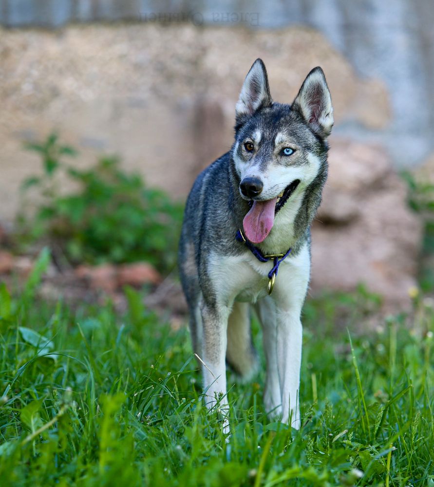 Photograph by Елена Одынец