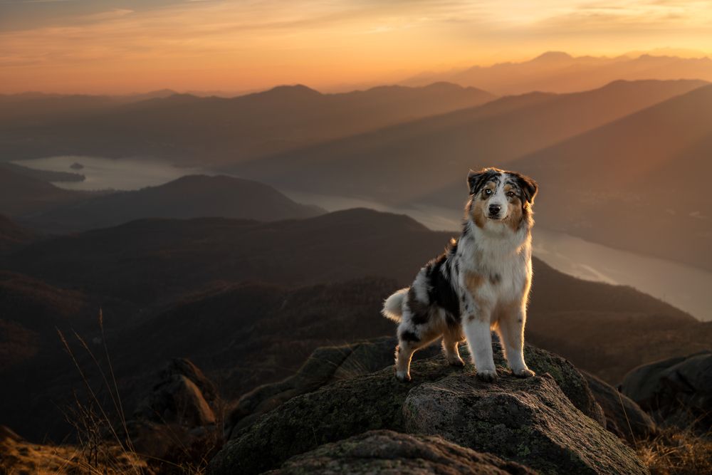 Photograph by Alessia Monaco