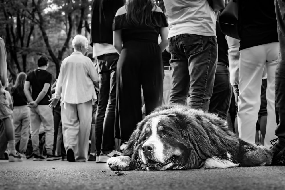 Photograph by Ineta Osipoviča