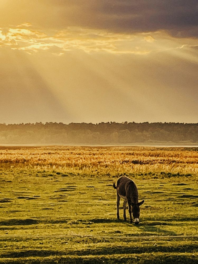 Photograph by Nadya Sterligova