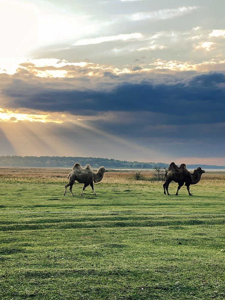 Photograph by Nadya Sterligova