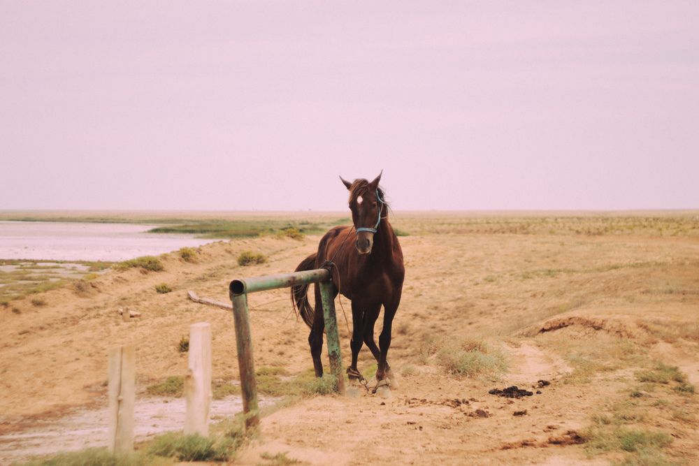 Фотография автора Юлия Гантимурова