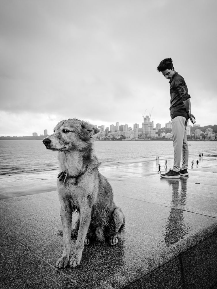 Photograph by Антон Огородов