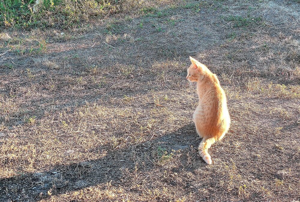 Photograph by Юрий Варюхин