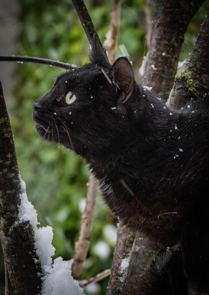 Фотография автора Оксана Белозерская