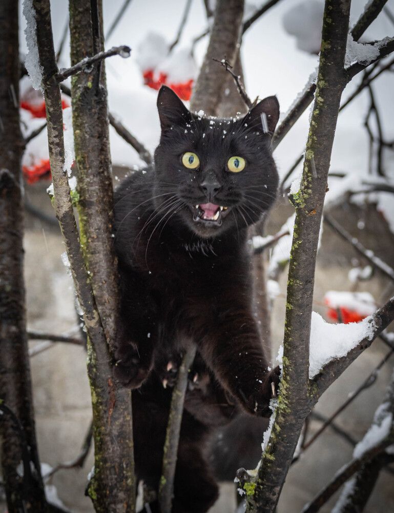 Фотография автора Оксана Белозерская