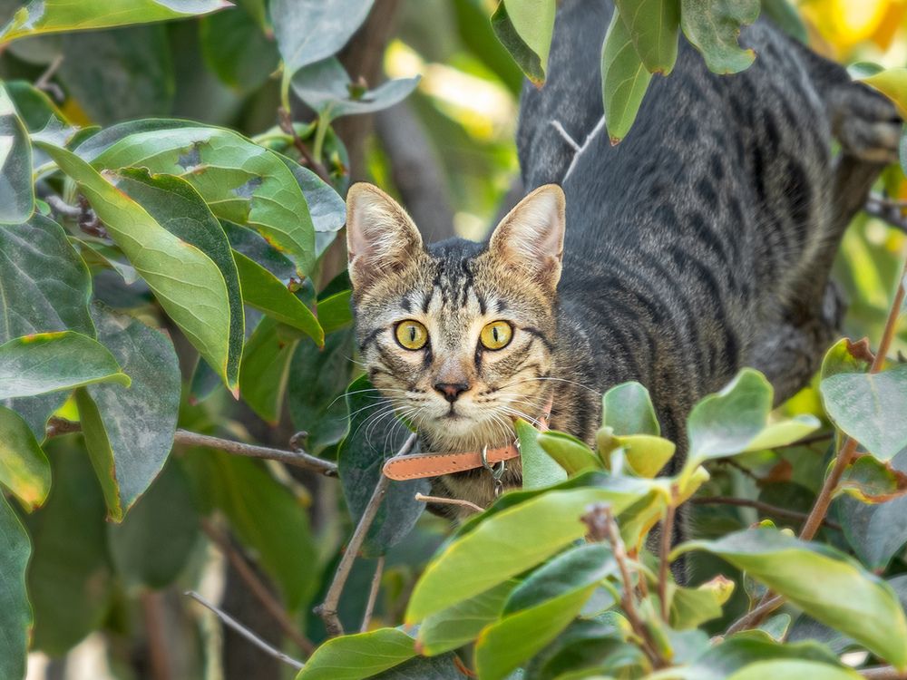 Photograph by Davoud Naeimi