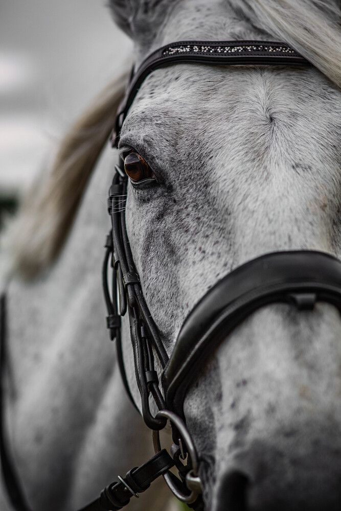 Photograph by Максим Шушкевич