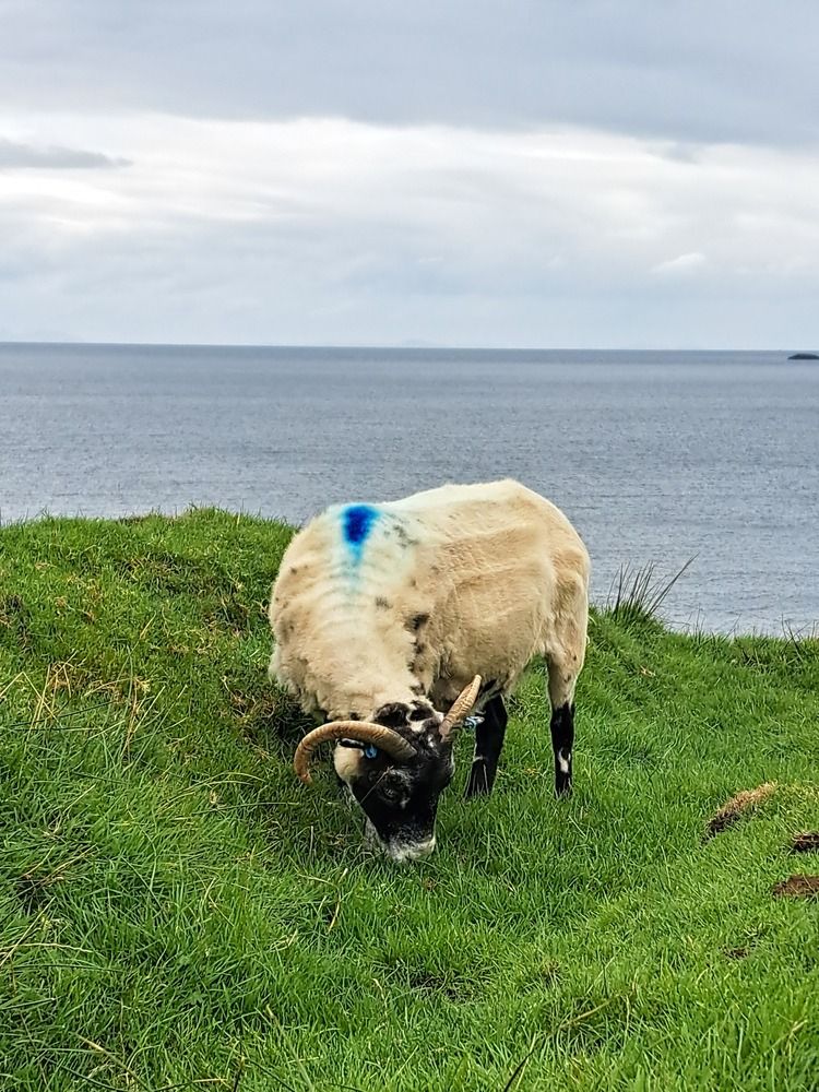 Фотография автора Елена Полякина