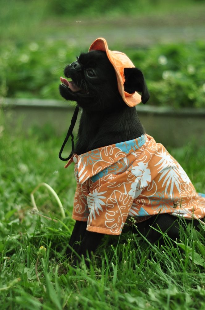 Фотография автора Кристина Киселёва