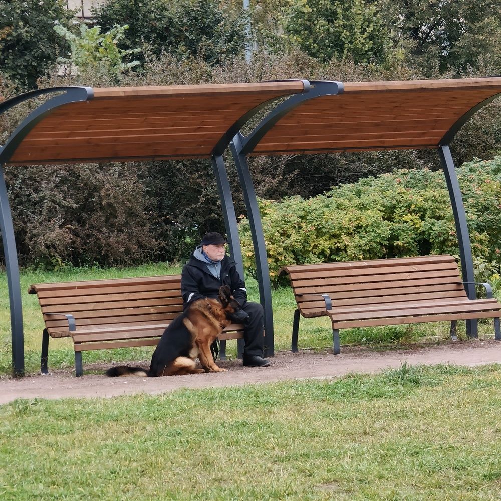 Отдых друзей во время прогулки