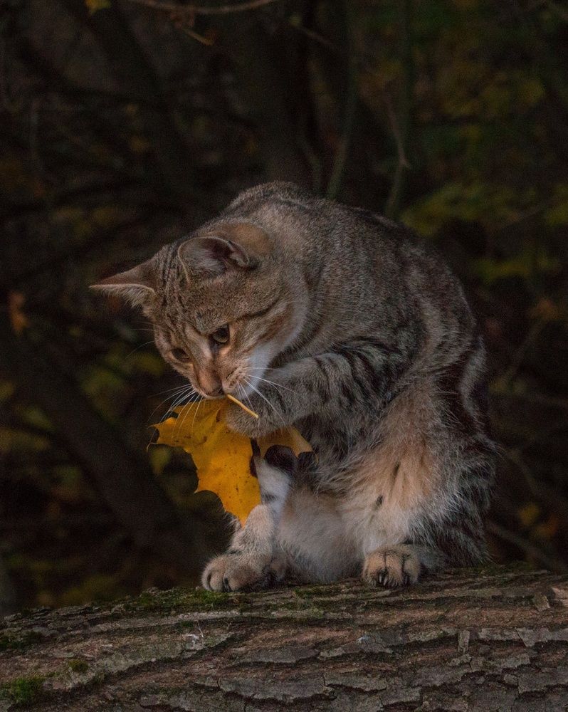 Photograph by Кондрашова Светлана