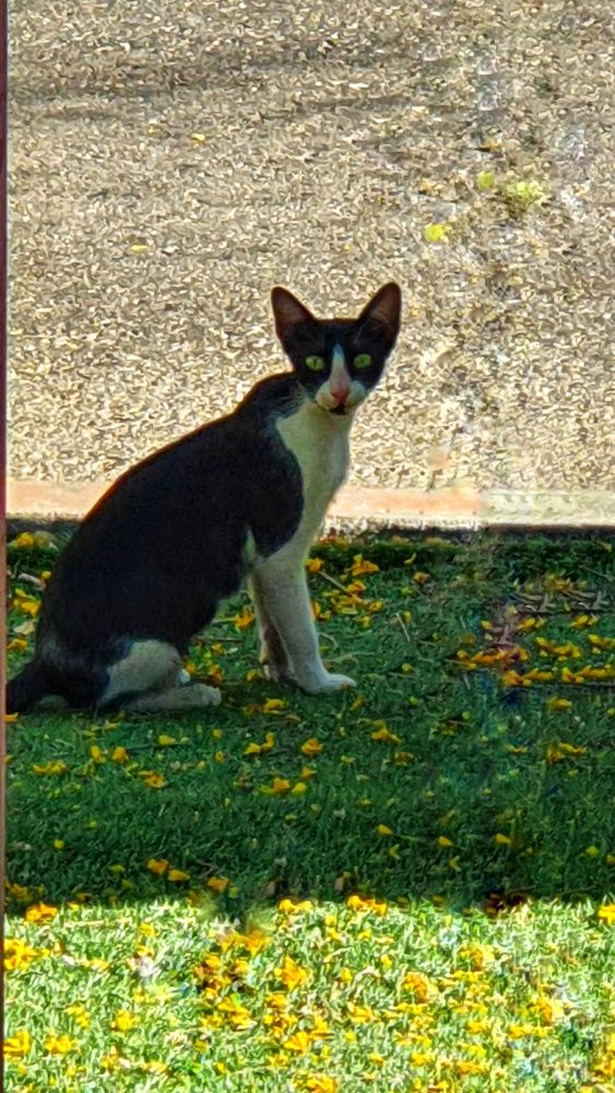 Фотография автора Марина