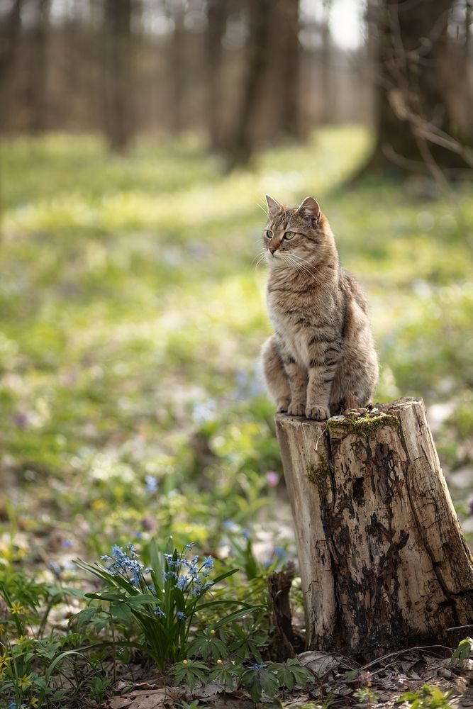 Photograph by Елена Косинова
