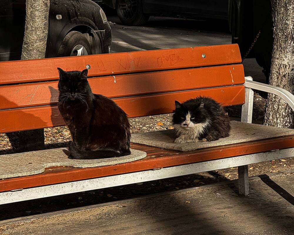 Photograph by Наталья Чехова