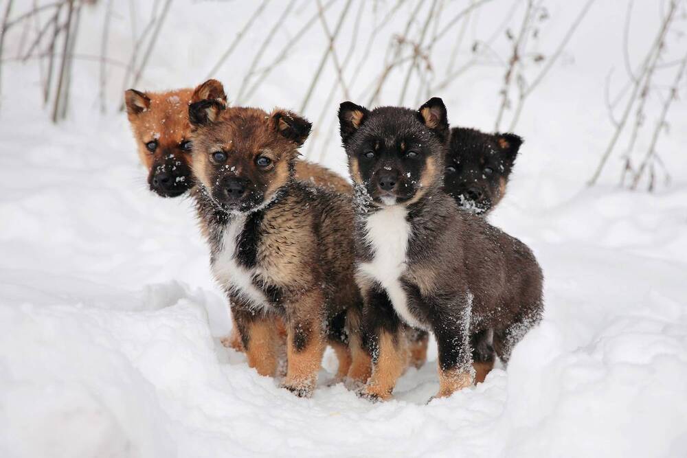 Photograph by Игорь Костромин