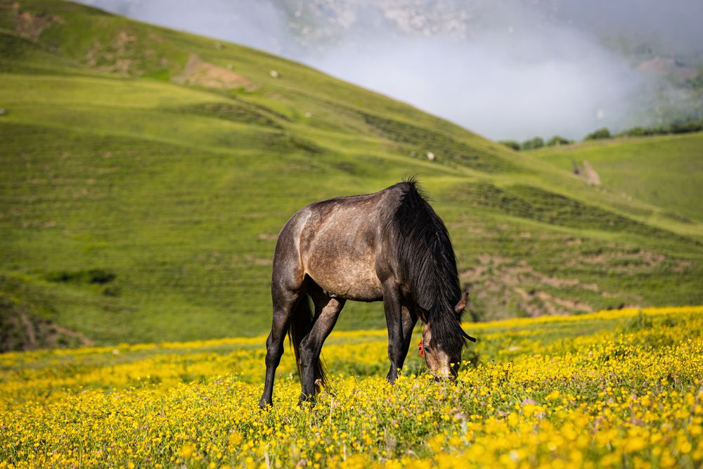 Photograph by Виолетта Бастет