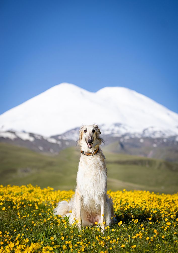 Photograph by Виолетта Бастет