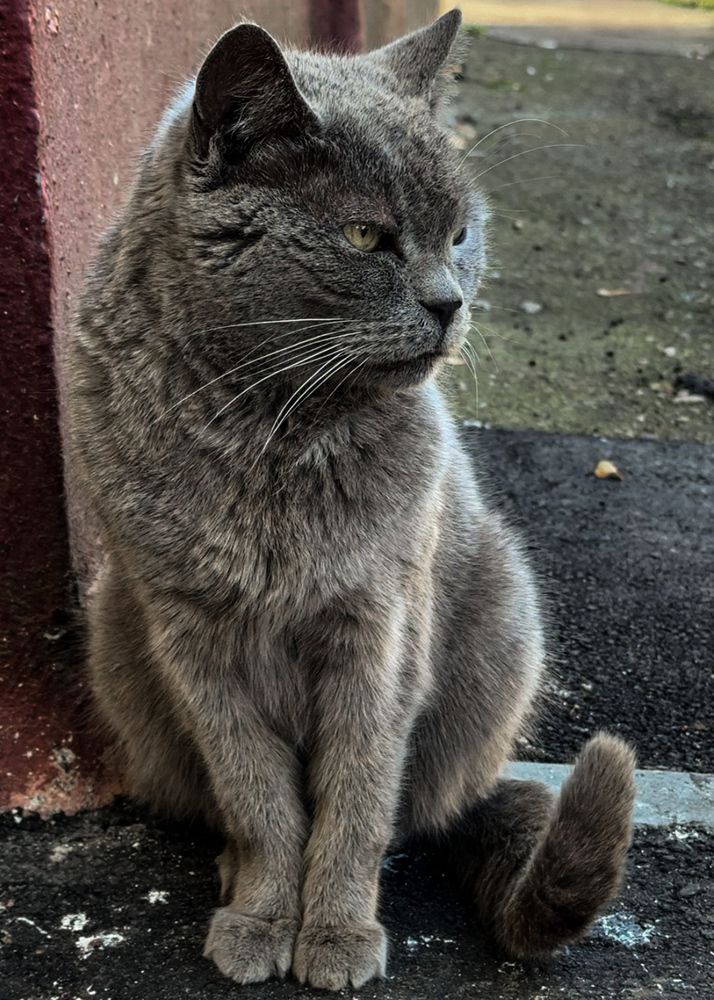 Photograph by Наталья Чехова