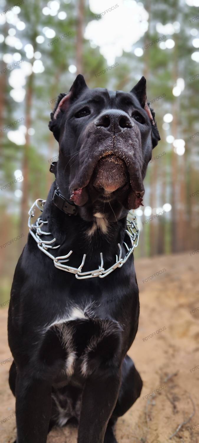 Photo #12785799
