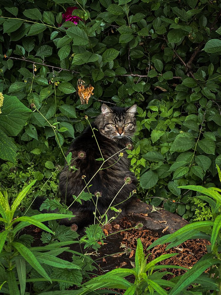 Photograph by Наталья Чехова