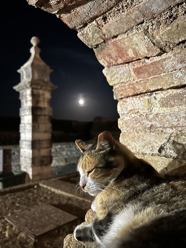 Photograph by Eleni Christogianni