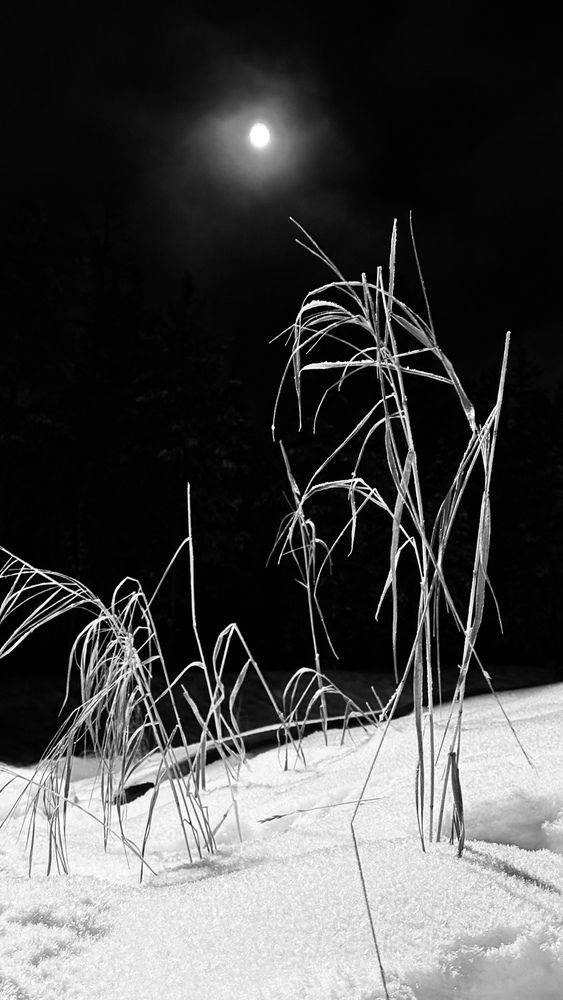 Photograph by Ирина Степанова