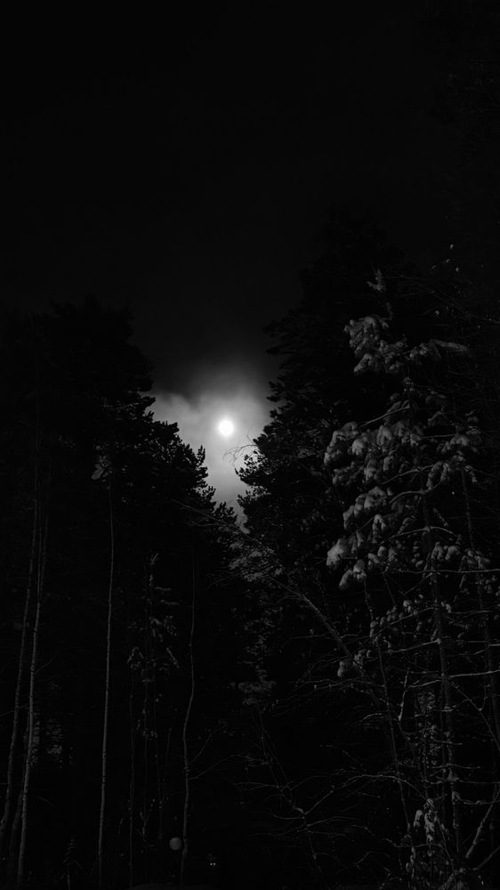 Photograph by Ирина Степанова