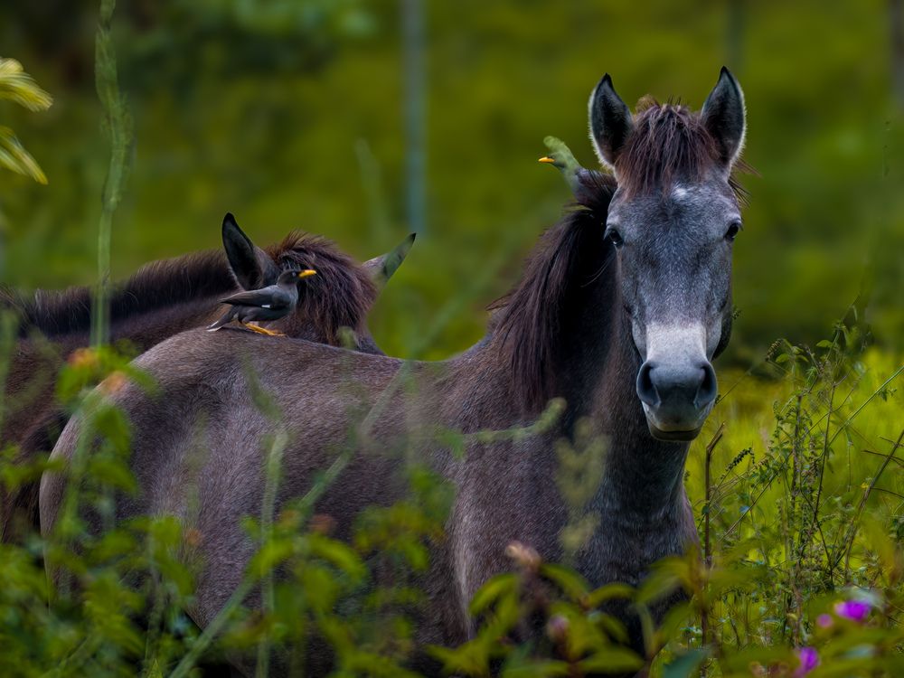 Photograph by WONG ADVENTURE