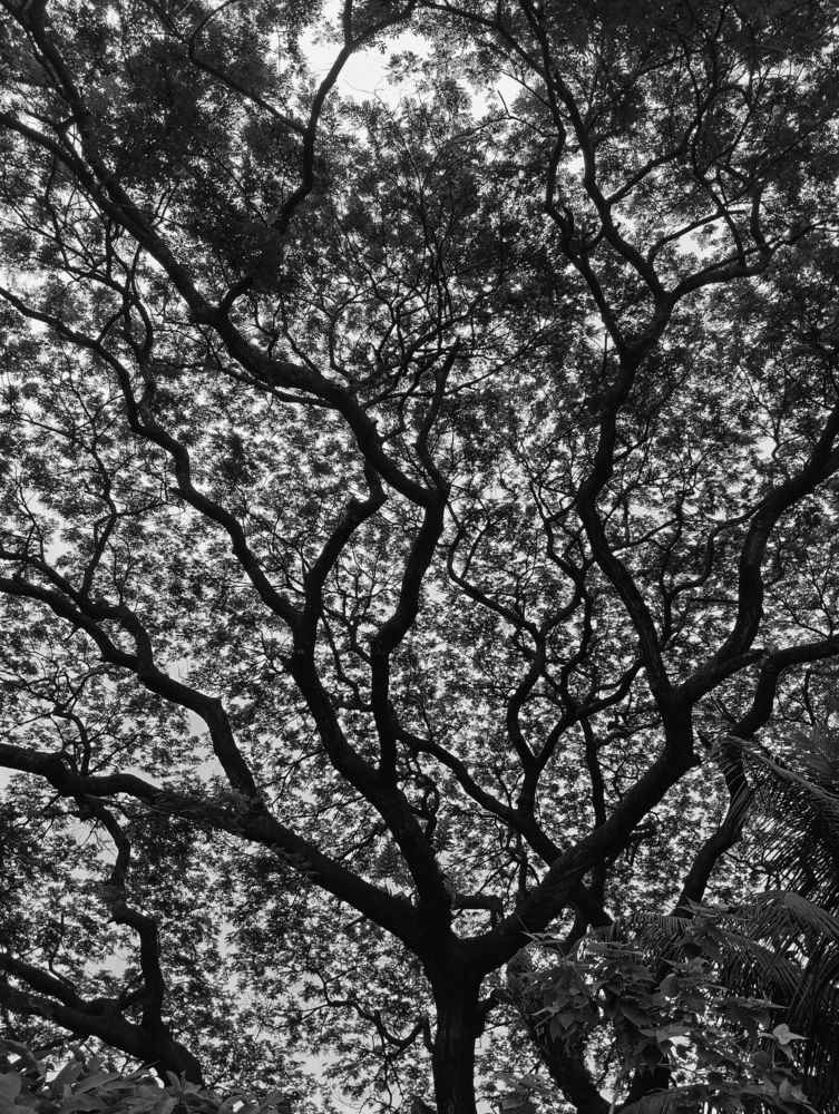 Neural network