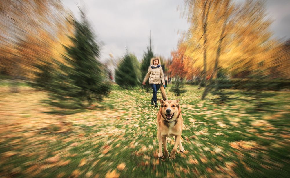 Photograph by Вячеслав Лычков