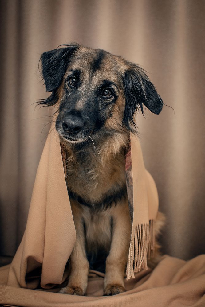 Photograph by Альфия Агзами