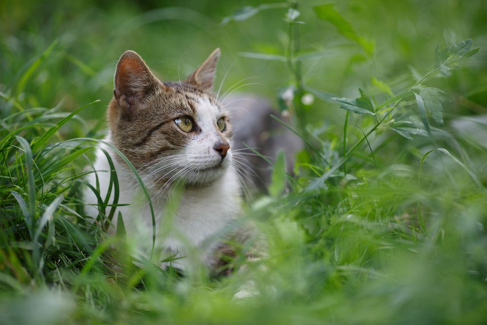 Photograph by Дарья Улюсова